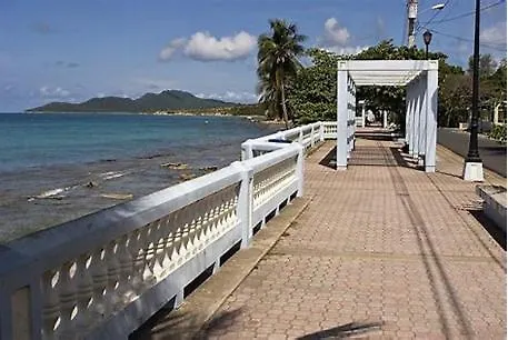 Mi Casa-Su Casa Glamping Campsite 65 Cash-Paypal-Visa-Mc -10Ft Huge Tent-Rental- Shadowed Fruit Trees -Cozy- Secret Garden Forest W Queen-Inflatable-Bed Linen-Towel-Fan -5 Minutes Walk To Jak Biobay Tour, Restaurants-Esperanza-Sun-Bay-Black Sand Beac Vieques