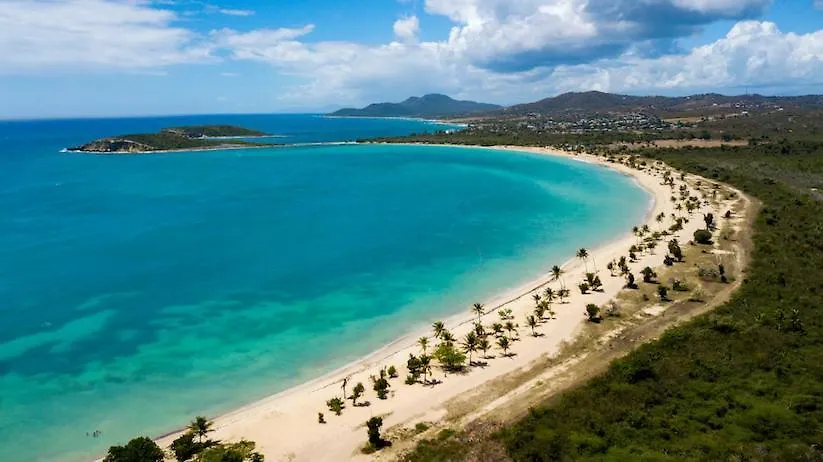 Mi Casa-Su Casa Glamping Campsite 65 Cash-Paypal-Visa-Mc -10Ft Huge Tent-Rental- Shadowed Fruit Trees -Cozy- Secret Garden Forest W Queen-Inflatable-Bed Linen-Towel-Fan -5 Minutes Walk To Jak Biobay Tour, Restaurants-Esperanza-Sun-Bay-Black Sand Beac Vieques Puerto Rico
