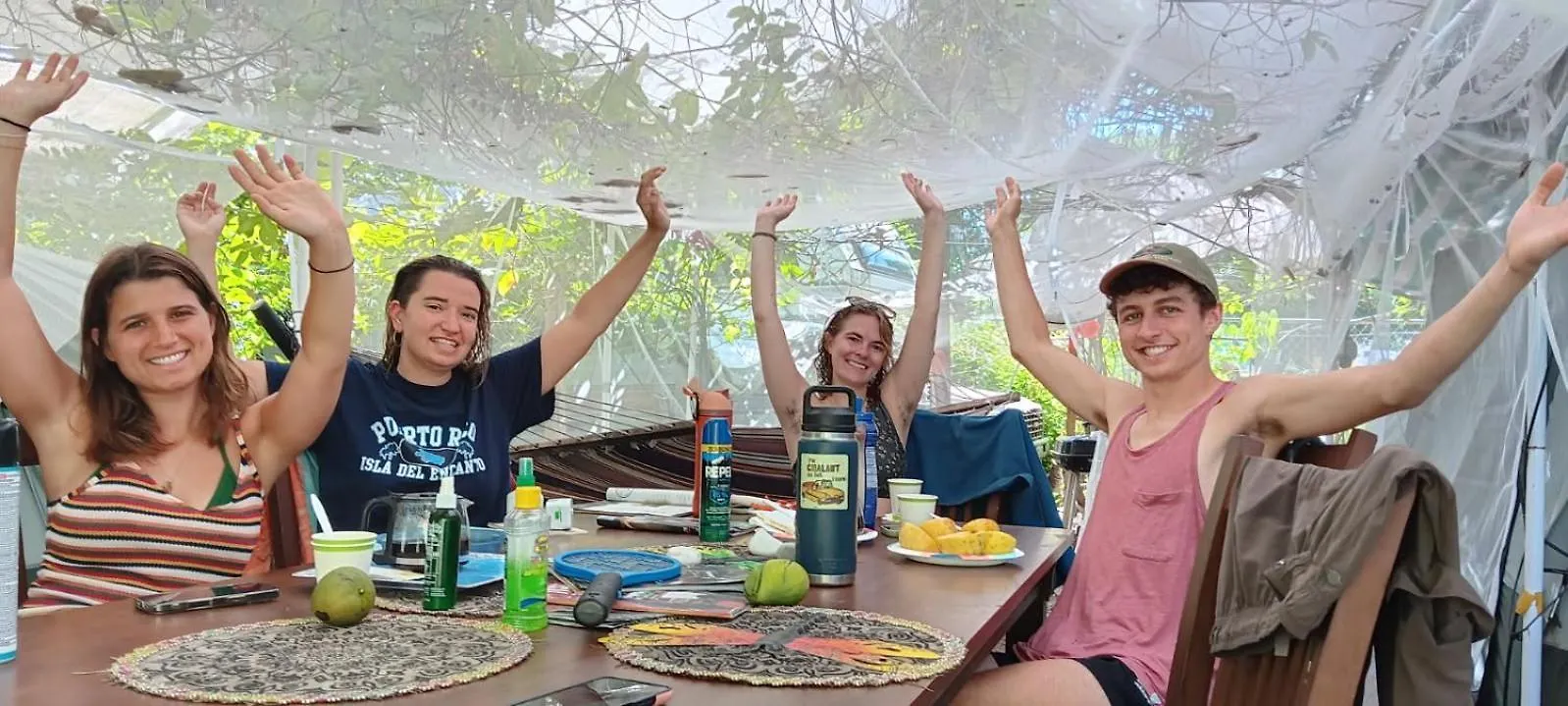 Mi Casa-Su Casa Glamping Campsite 65 Cash-Paypal-Visa-Mc -10Ft Huge Tent-Rental- Shadowed Fruit Trees -Cozy- Secret Garden Forest W Queen-Inflatable-Bed Linen-Towel-Fan -5 Minutes Walk To Jak Biobay Tour, Restaurants-Esperanza-Sun-Bay-Black Sand Beac Vieques